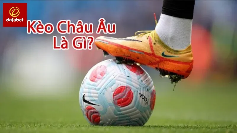 Kèo hot cho người mới